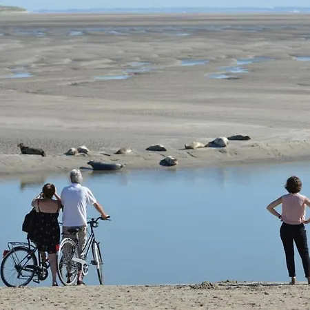 La Rotonde Du Bien Etre 150m Coeur De * Berck