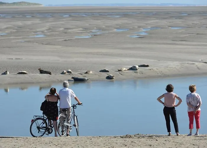 La Rotonde Du Bien Etre 150m Coeur De * Berck